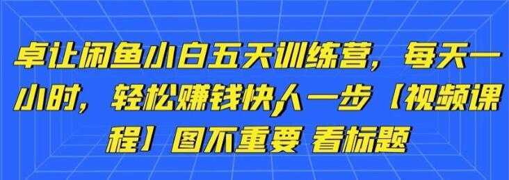 卓让《闲鱼项目小白五天训练营》每天一小时，轻松赚钱快人一步-皓哥创业笔记