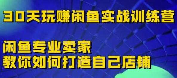 《30天玩赚闲鱼实战训练营》闲鱼专业卖家教你如何打造自己店铺-皓哥创业笔记