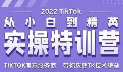 Seven漆《Tiktok从小白到精英实操特训营》带你掌握Tiktok账号运营-皓哥创业笔记