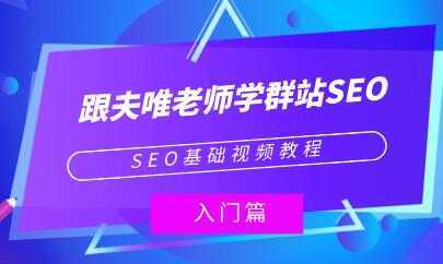 夫唯《群站seo优化教程视频》SEO基础视频教程-皓哥创业笔记