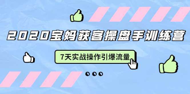 2020宝妈获客操盘手训练营：7天实战操作引爆 母婴、都市、购物宝妈流量-皓哥创业笔记