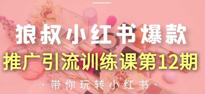 狼叔小红书爆款推广引流训练课第12期，手把手带你玩转小红书-皓哥创业笔记