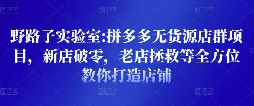 野路子实验室:拼多多无货源店群项目，新店破零，老店拯救等全方位教你打造店铺-皓哥创业笔记