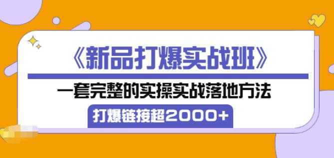 凌童《新品打爆实战班》,一套完整的实操实战落地方法，打爆链接超2000+（28节课)-皓哥创业笔记