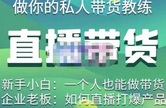 硬核传媒·直播带货（私人教练），实操实战教学，通俗易懂，学完后新手小白一个人也能做带货-皓哥创业笔记