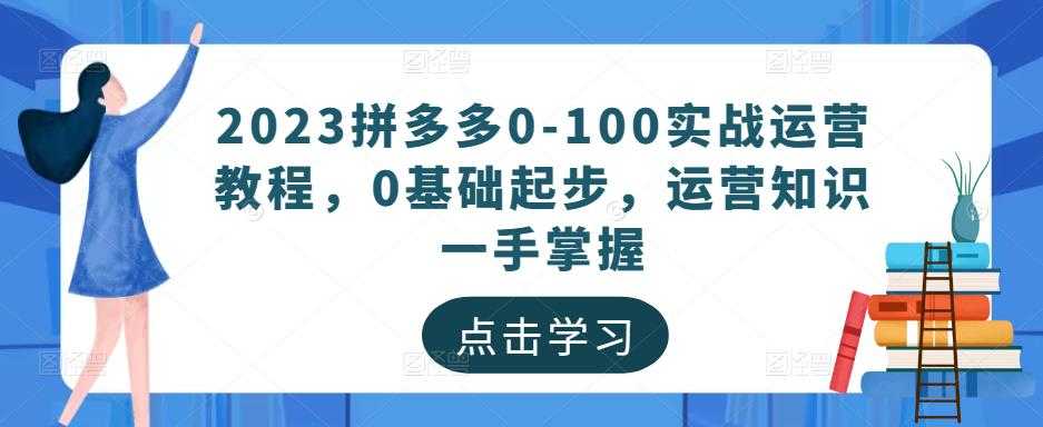 2023拼多多0-100实战运营教程，0基础起步，运营知识一手掌握-皓哥创业笔记