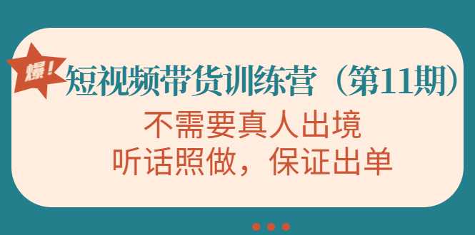 视频带货训练营，不需要真人出境，听话照做，保证出单（第11期）