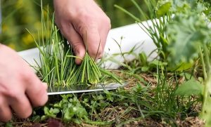 皓哥《导师训练营2.0》项目介绍,互联网项目的天花板!