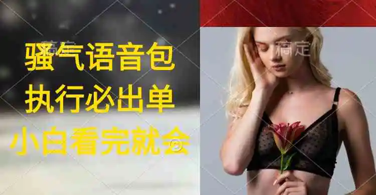 （9589期）执行就出单，日入2000+，超火骚气语音包，小白看完课程就能马上实操-皓哥创业笔记