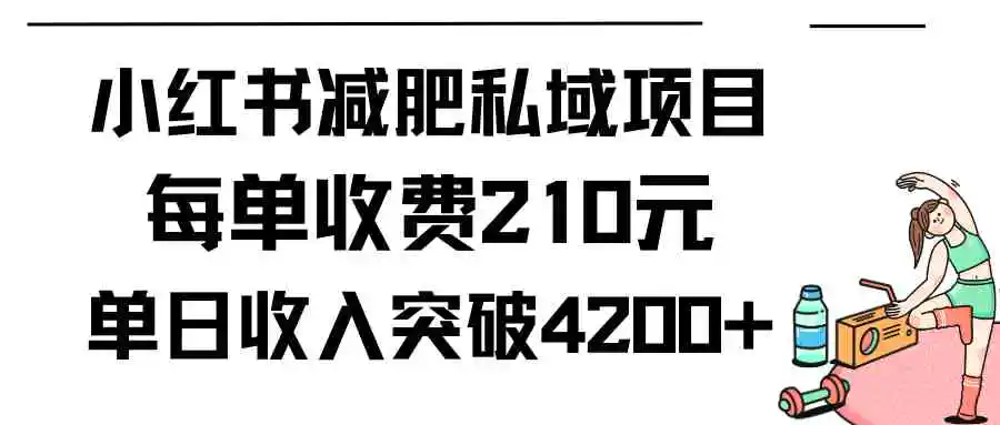 （9466期）小红书减肥私域项目每单收费210元单日成交20单，最高日入4200+-皓哥创业笔记
