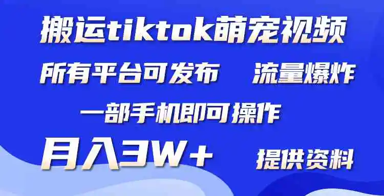 （9618期）搬运Tiktok萌宠类视频，一部手机即可。所有短视频平台均可操作，月入3W+-皓哥创业笔记