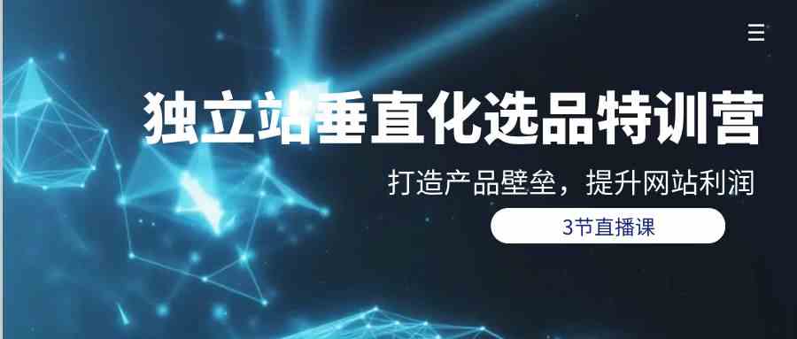 （9925期）独立站-垂直化选品训练营，打造产品壁垒，提升网站利润（3节直播课）-皓哥创业笔记
