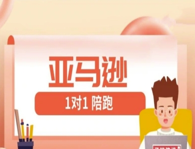 亚马逊1对1陪跑课(FBA/FBM精铺)跨境亚马逊教程-皓哥创业笔记