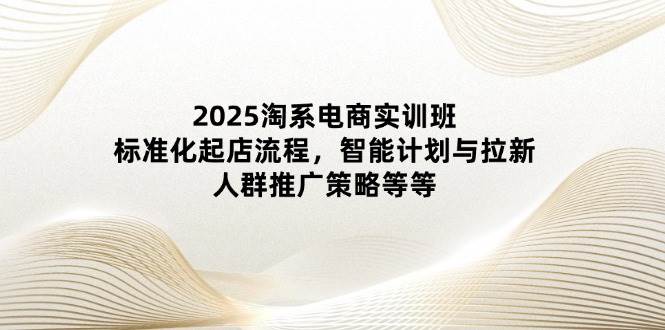 （14522期）2025淘系电商实训班：标准化起店流程，智能计划与拉新，人群推广策略等等-皓哥创业笔记