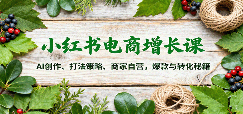 小红书电商增长课：AI创作、打法策略、商家自营，爆款与转化秘籍-皓哥创业笔记