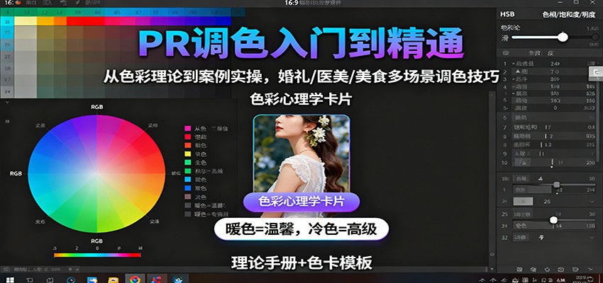 PR调色入门到精通：从色彩理论到案例实操，婚礼/医美/美食多场景调色技巧-皓哥创业笔记