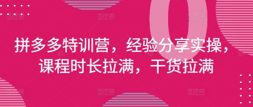 拼多多特训营,经验分享实操,课程时长拉满,干货拉满(更新25年4月)-皓哥创业笔记