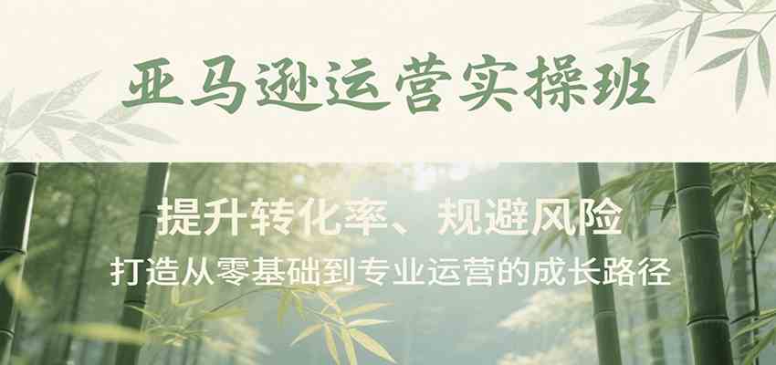 亚马逊运营实操班，提升转化率、规避风险，打造从零基础到专业运营的成长路径-皓哥创业笔记