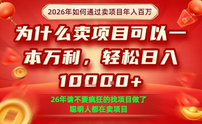 一单净利润1K+，26年想年入100个W，死磕卖项目就够了【揭秘】-皓哥创业笔记