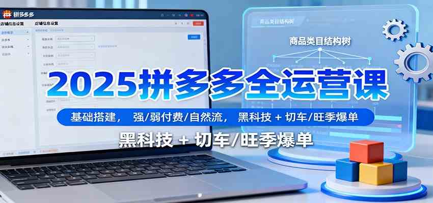 2025拼多多全运营课：基础搭建，强/弱付费/自然流，黑科技 + 切车/旺季爆单-皓哥创业笔记