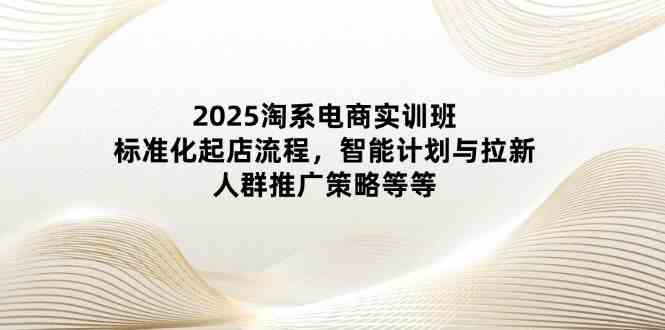 2025淘系电商实训班：标准化起店流程，智能计划与拉新，人群推广策略等等-皓哥创业笔记