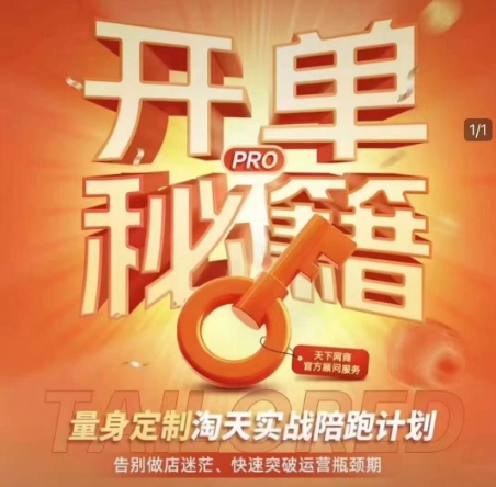 淘宝开单秘籍PRO，量身定制淘天实战陪跑计划，告别做店迷茫、快速突破运营瓶颈期（更新6月）-皓哥创业笔记