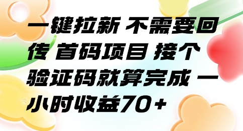 一键拉新 不需要回传 首码项目 接个验证码就算完成 一小时收益70+【揭秘】-皓哥创业笔记