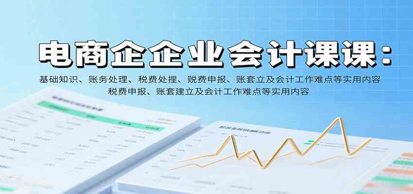 电商企业会计课：基础知识、账务处理、税费申报、账套建立及会计工作难点等实用内容-皓哥创业笔记