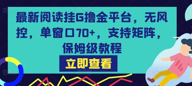 最新阅读挂G撸金平台，无风控，单窗口70+，支持矩阵，保姆级教程【揭秘】-皓哥创业笔记