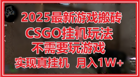 2025最新游戏搬砖，CSGO挂G，不需要玩游戏，实现真挂G，月入1W+【揭秘】-皓哥创业笔记