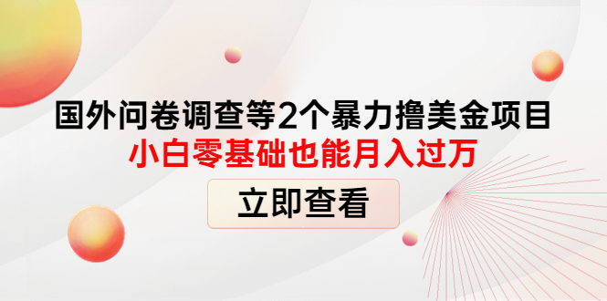 图片[1]-（4062期）国外问卷调查等2个暴力撸美金项目，小白零基础也能月入过万-皓哥创业笔记
