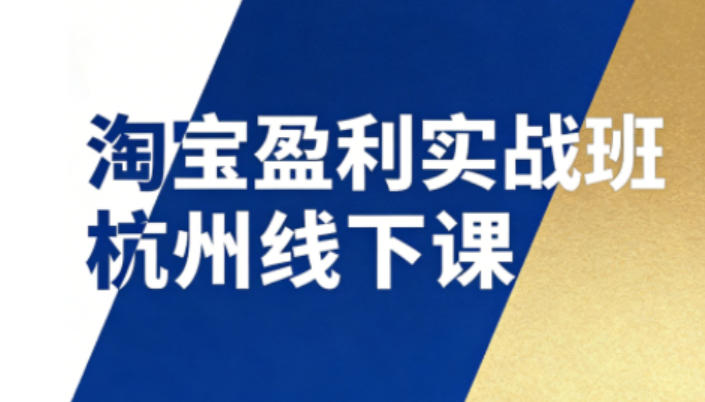 淘宝盈利实战班杭州线下课12月26-28日（音频+字幕），帮你掌握SOP流程+12门核心技术-皓哥创业笔记