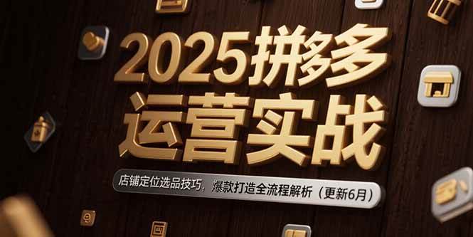 （15235期）2025拼多多运营实战：店铺定位选品技巧，爆款打造全流程解析（更新6月）-皓哥创业笔记