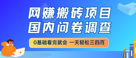 网创搬砖项目，国内问卷调查，小白轻松上手，一天三四张的也不难，干就完了【揭秘】-皓哥创业笔记
