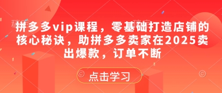 拼多多vip课程，零基础打造店铺的核心秘诀，助拼多多卖家在2025卖出爆款，订单不断-皓哥创业笔记