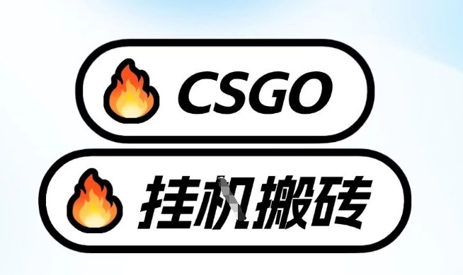 真全网独家CSGO挂G，最新玩法,单日捡漏1K+，不用电脑，不用打游戏【揭秘】-皓哥创业笔记