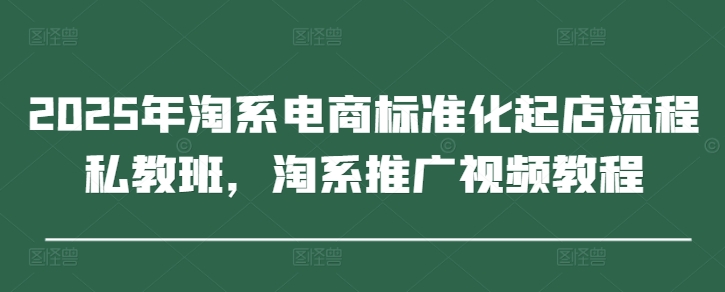 2025年淘系电商标准化起店流程私教班，淘系推广视频教程-皓哥创业笔记