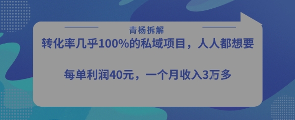 转化率最高的私域项目，每单利润40-50米，月入过1w-皓哥创业笔记