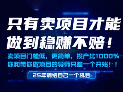 只有卖项目才能做到稳挣不赔，门槛低，更简单，你也可以年入百个W【揭秘】-皓哥创业笔记