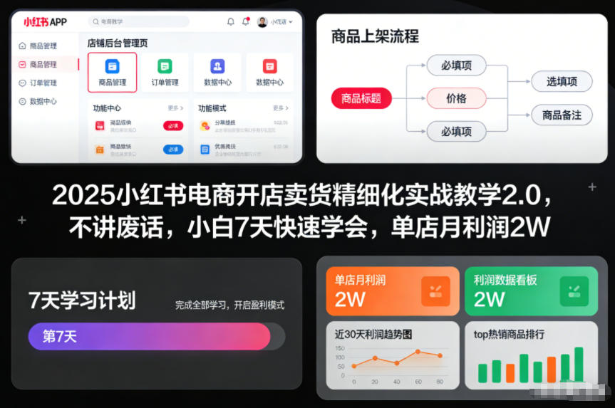 2025小红书电商开店卖货精细化实战教学2.0，不讲废话，小白7天快速学会，单店月利润2W-皓哥创业笔记