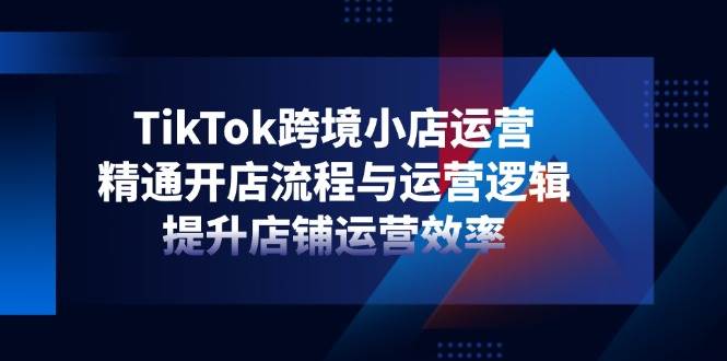 （14369期）TikTok跨境小店运营，精通开店流程与运营逻辑，提升店铺运营效率-皓哥创业笔记