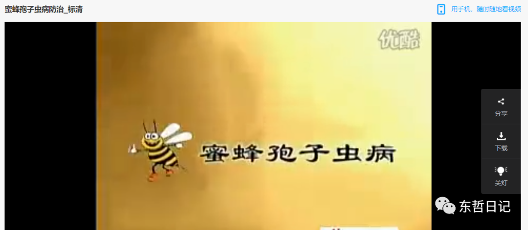 (6371期)东哲日记:全网首创实物虚拟电商项目,速来捡钱,成本低,一单赚几十块!