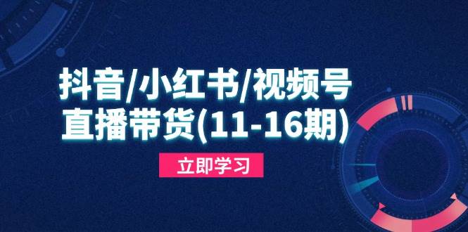 （14611期）抖音/小红书/视频号/直播带货(11-16期)，快速掌握平台规则，打造爆款内容-皓哥创业笔记