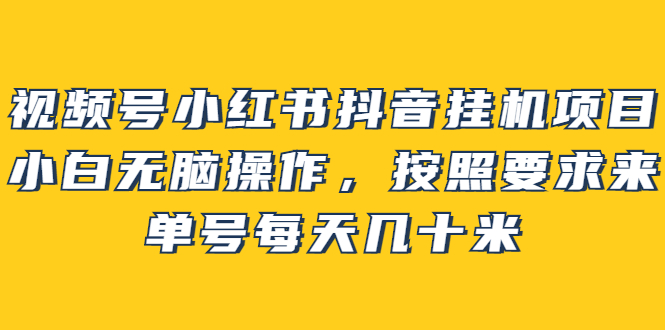 (2437期)视频号小红书抖音挂机项目,小白无脑操作,按照要求来,单号每天几十米