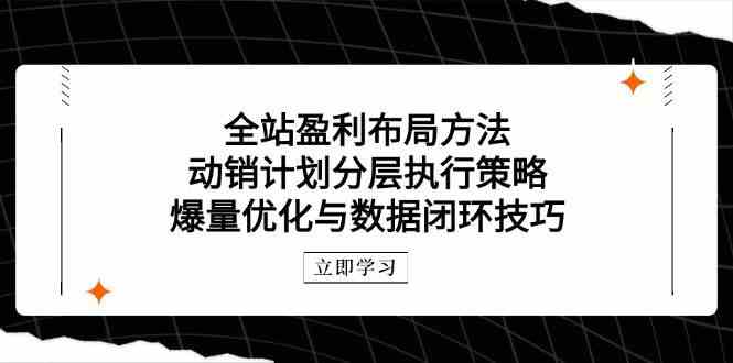 全站盈利布局方法：动销计划分层执行策略，爆量优化与数据闭环技巧-皓哥创业笔记