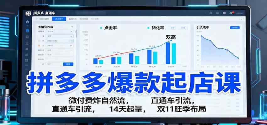 拼多多爆款起店课：微付费炸自然流，直通车引流，14天起量，双11旺季布局-皓哥创业笔记