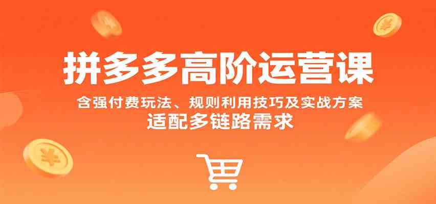 拼多多高阶运营课，含强付费玩法、规则利用技巧及实战方案，适配多链路需求-皓哥创业笔记