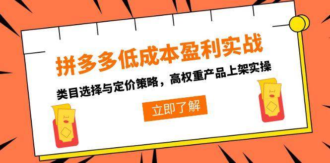 （15143期）拼多多低成本盈利实战，类目选择与定价策略，高权重产品上架实操-皓哥创业笔记