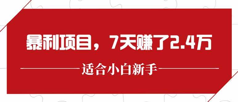 （15228期）最新暴利项目，每单收益轻松在300以上，7天赚了2.4万-皓哥创业笔记