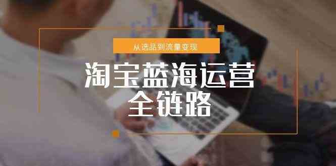 淘宝蓝海运营全链路，从选品到流量变现，小类目突围完整方案-皓哥创业笔记